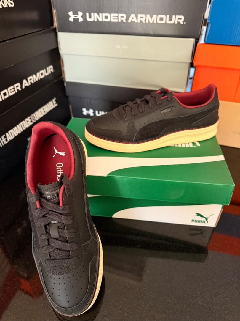 PUMA INDOOR REGAL GRACE